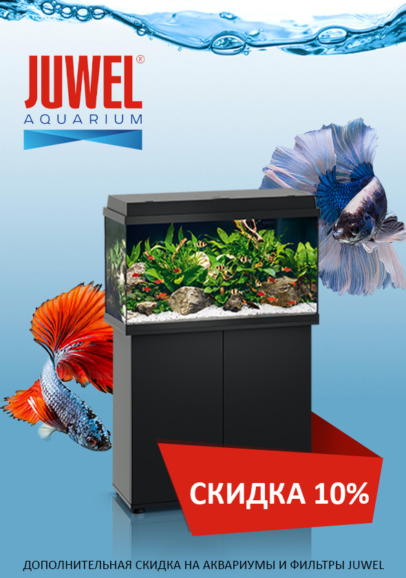 Акция от Juwel