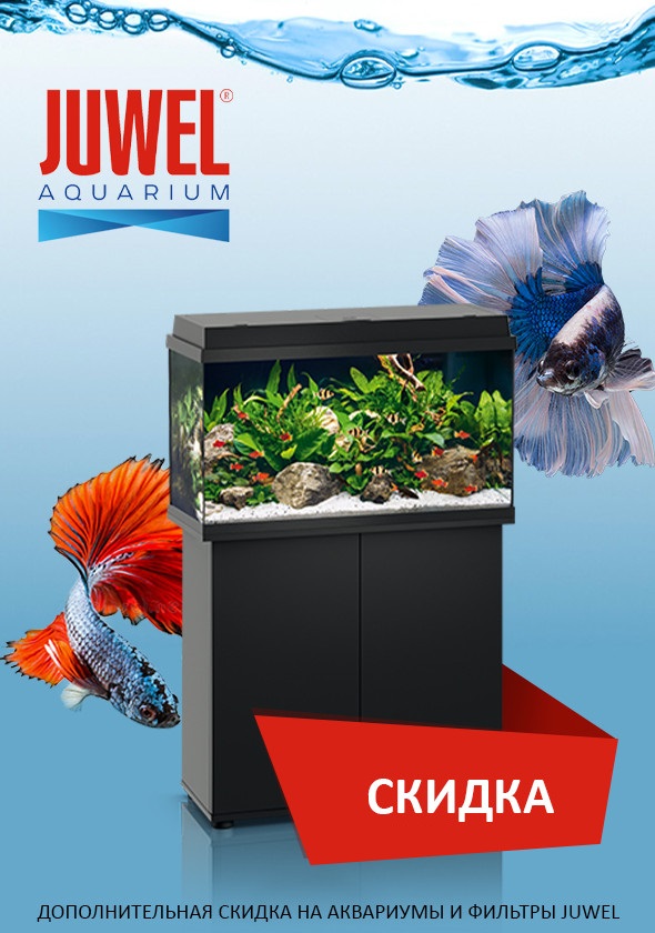 JUWEL Скидки до 20% с 09.21 до 2022